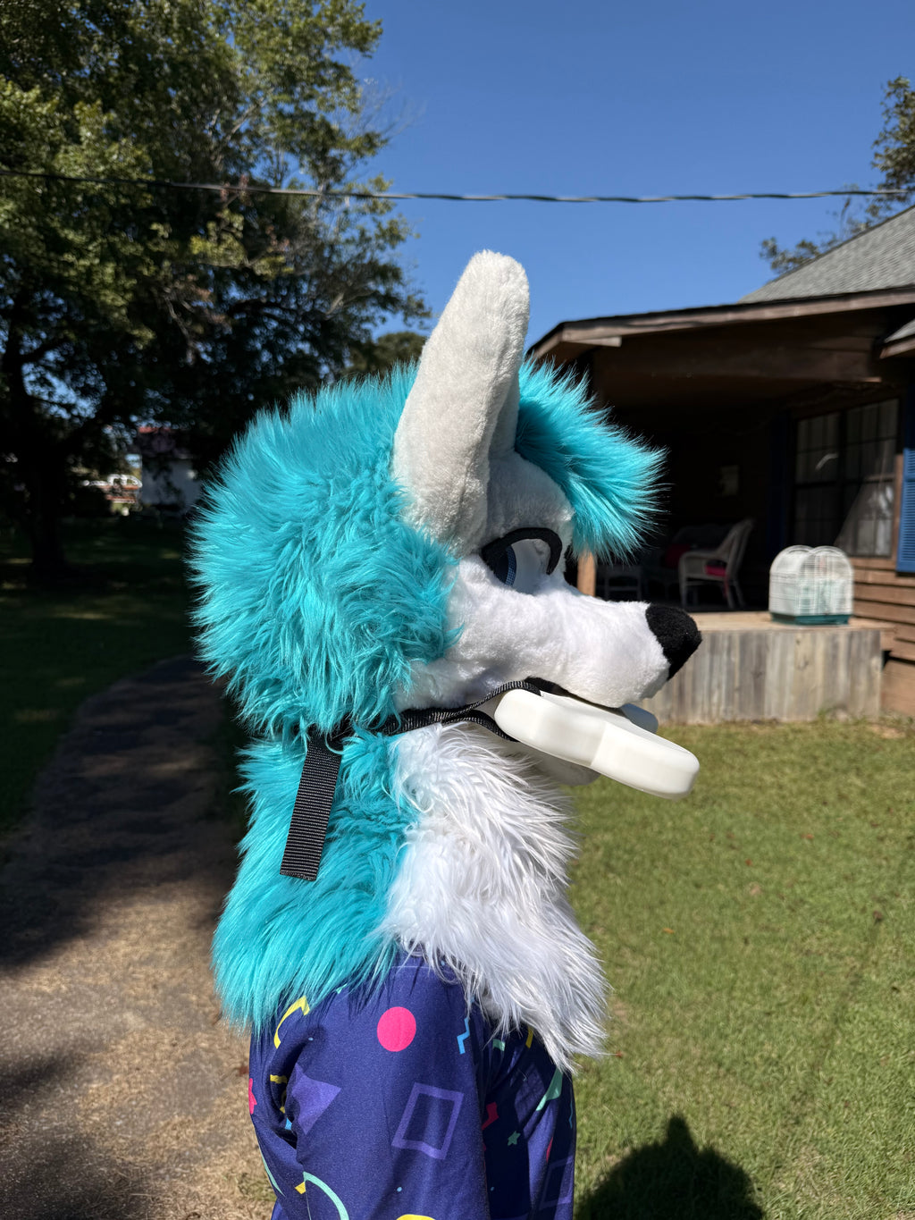Dog Bone Fursuit Fan