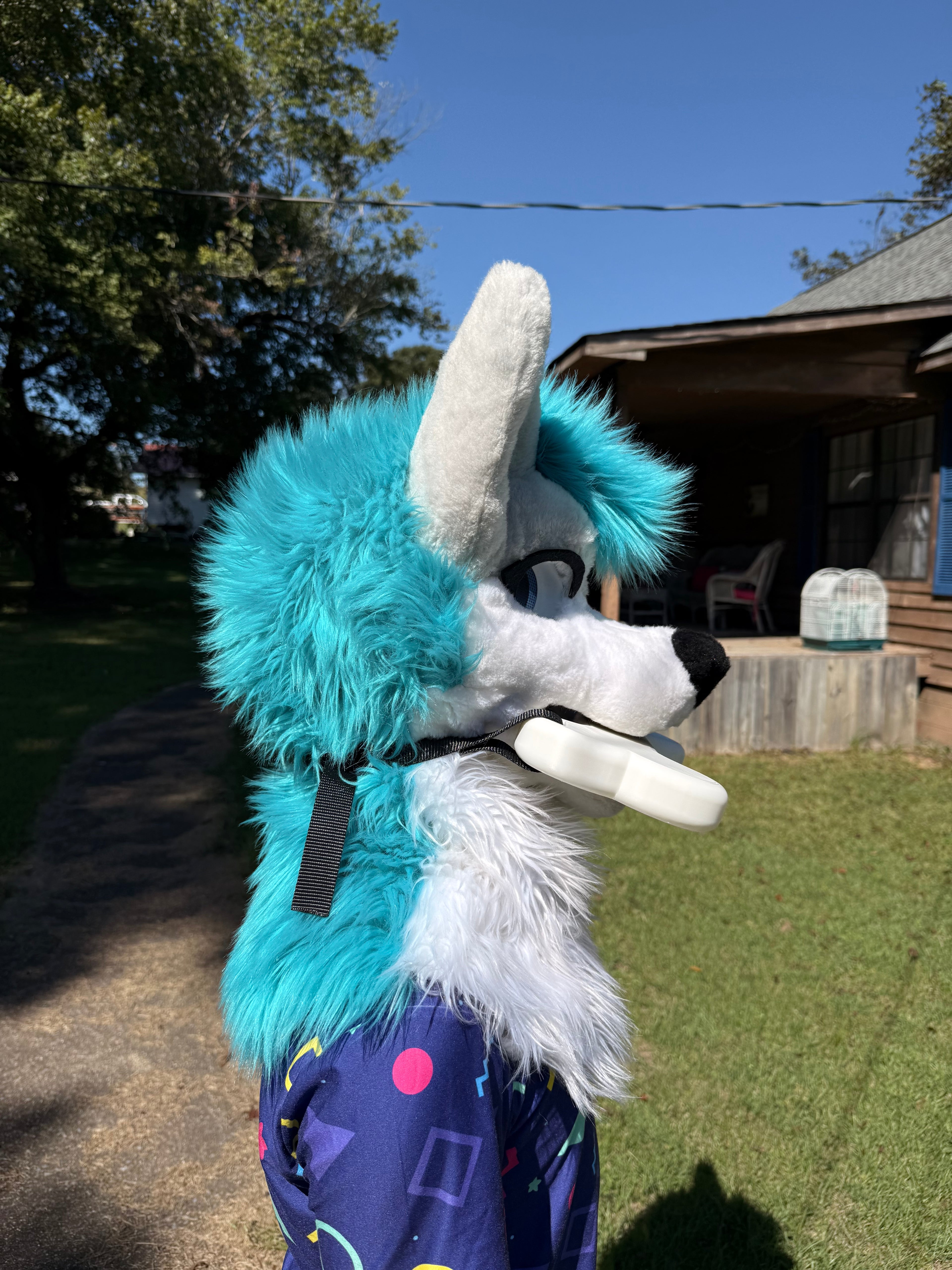 Dog Bone Fursuit Fan